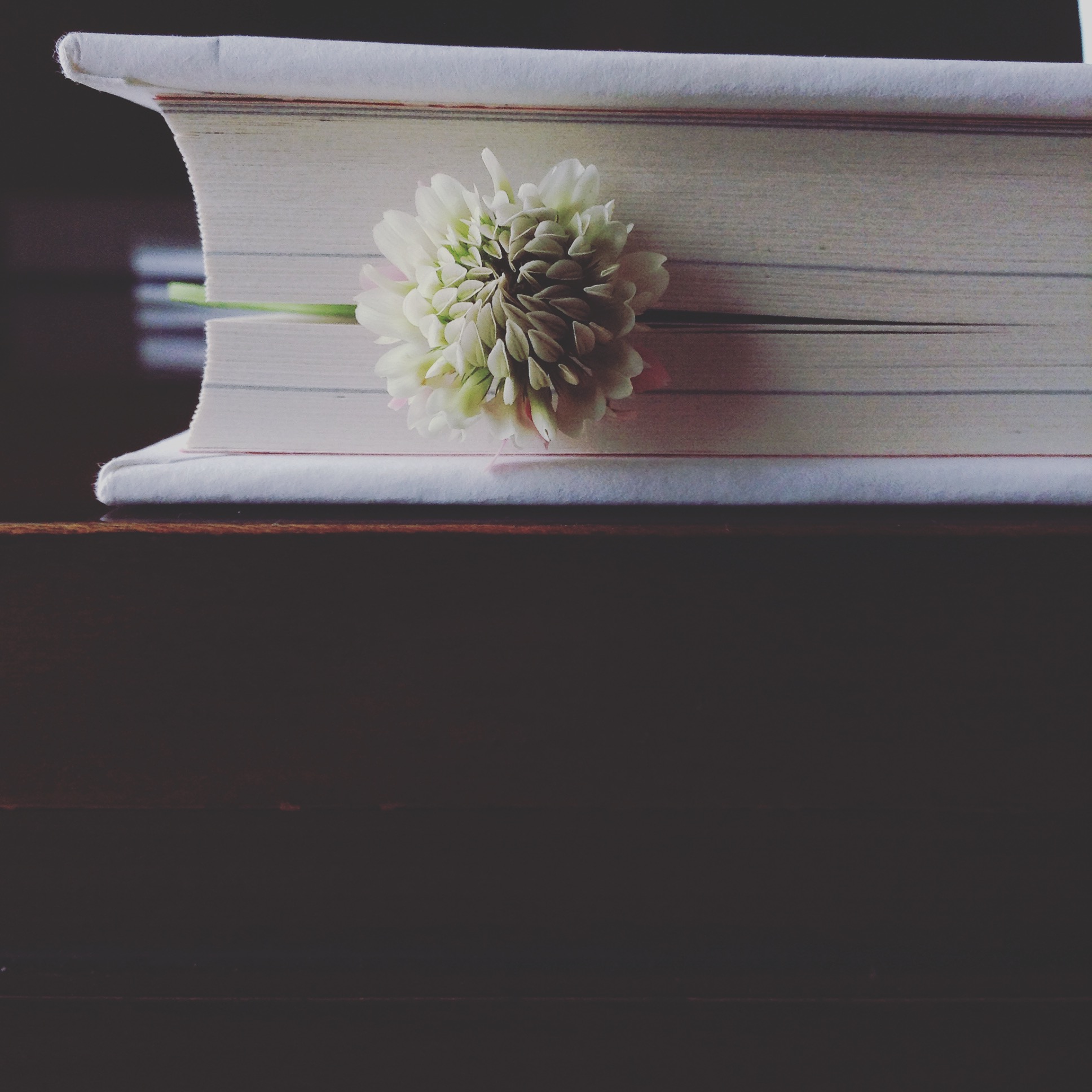 Book and Flower